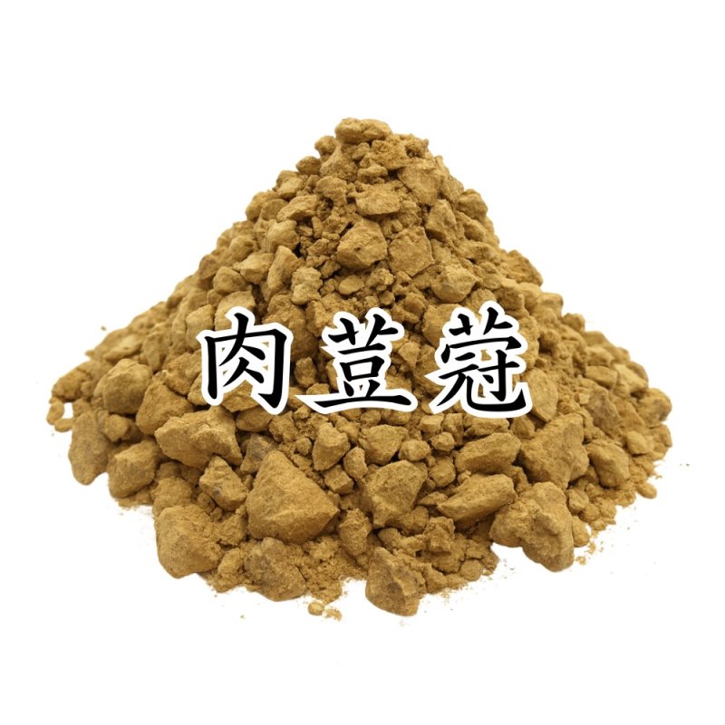 画像1: 肉荳蒄（ニクズク） (1)