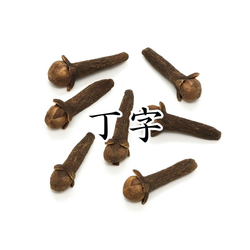 画像1: 丁字（チョウジ） (1)