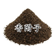 香原料 香附子（コウブシ）