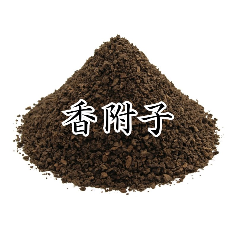 画像1: 香附子（コウブシ） (1)