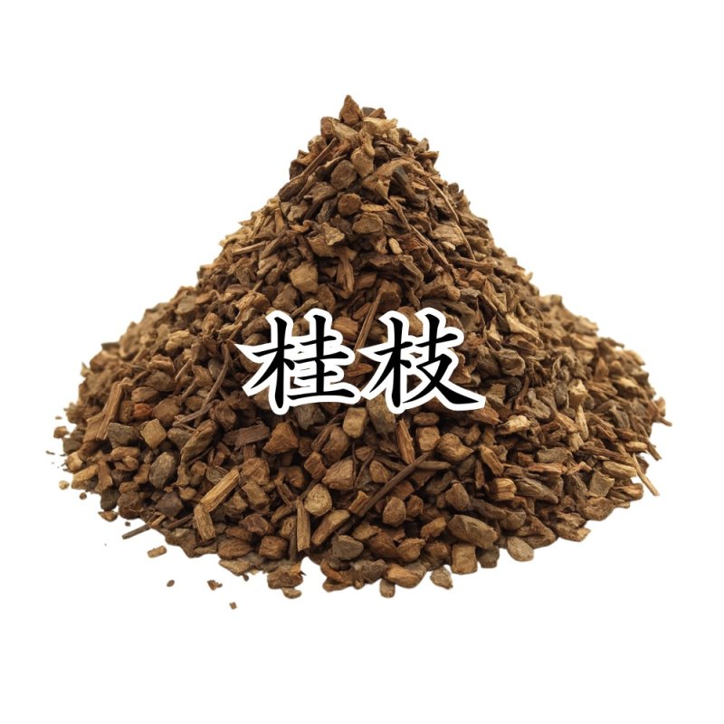 画像1: 桂枝（ケイシ） (1)