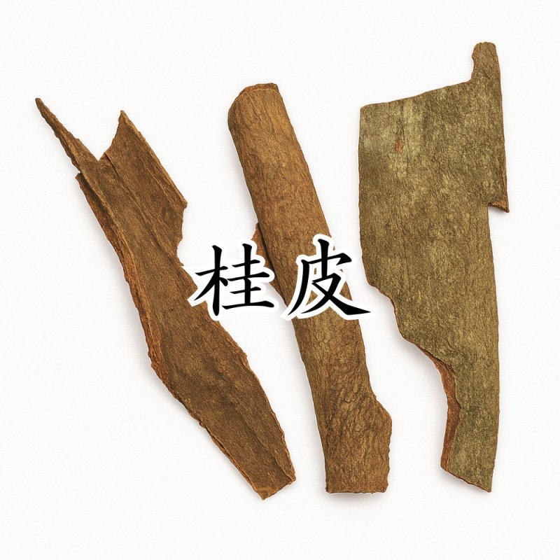 画像1: 桂皮（ケイヒ） (1)