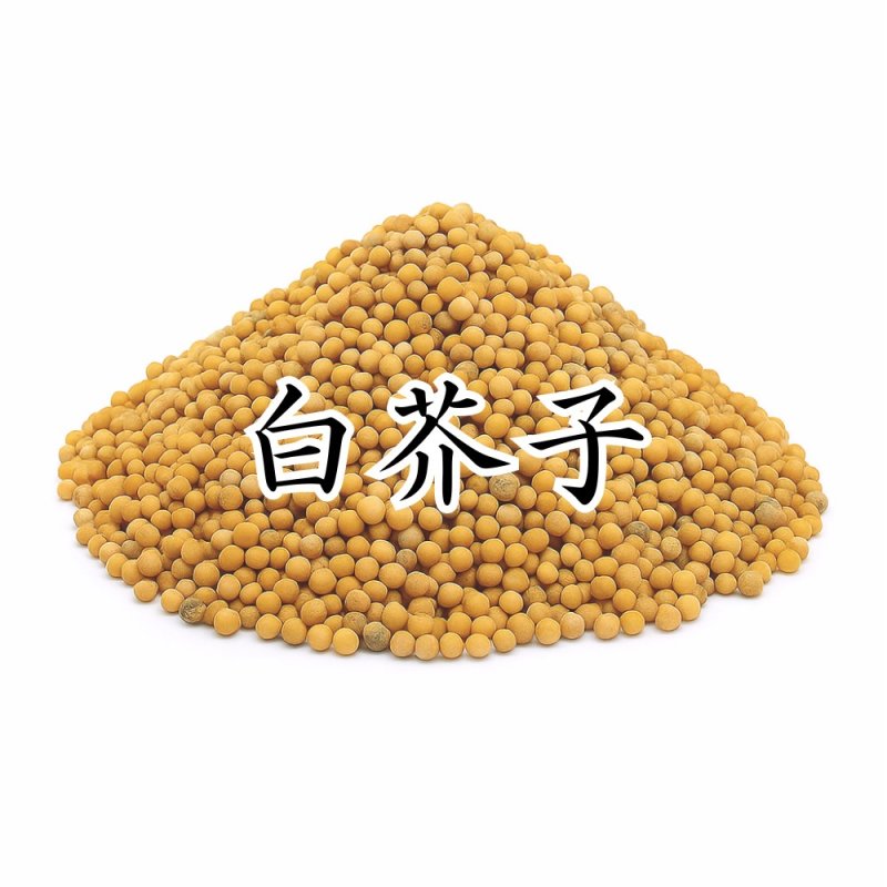 画像1: 白芥子（ハクガイシ） (1)