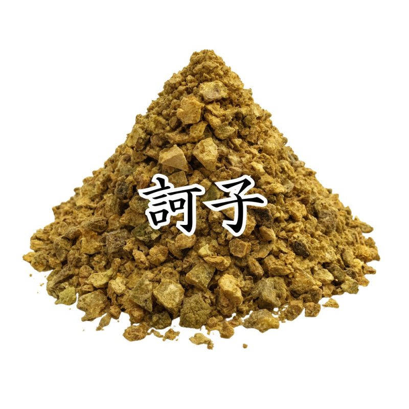 画像1: 訶子(カシ) (1)