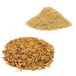 画像2: オーストラリア白檀 (2)